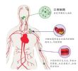 预防心血管病应从口腔健康做起！