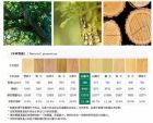 实木家具有哪些分类？选哪种木材更经济实用？