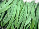 秋季养胃食物排行榜 吃这些就对了 