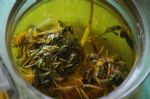 痘痘老是冒脸上咋办？喝蒲公英茶用温水洗脸预防