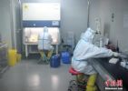 记者手记：“一只蝙蝠”，改变中国人的生活形态