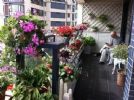 疫情过后，我家阳台一定要这样装，一整年不出门也不会无聊！
