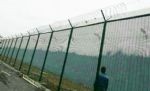 外媒：为防止新冠病毒在监狱中传播，伊朗暂时释放约5.4万名囚犯！