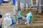 人类史上最大隔离：武汉封城紧急响应让中国少感染70万人