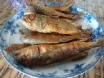 成本不到十元的小海鱼，足足做了两大盘，焦香、咸鲜，成就了两种美味！