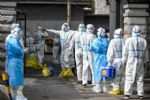 43人确诊，出现非密接病例，专家指吉林病例潜伏期长