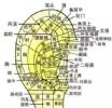 新研究！耳朵的秘密，让人吃一惊！看看你是不是长寿耳