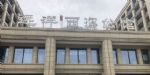 六万人摇西溪公馆 杭州楼市失控了吗？