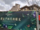 上海楼市魔幻与现实：千万豪宅遭秒杀 有楼盘收取百万茶水费