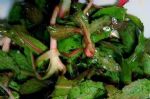 8月不吃就成“杂草”，以前穷人的救命菜，排出毒素，三伏天更精神