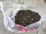 塑料袋养花是个奇招，直接套在花盆上，开花油亮养花省事
