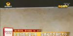 长沙一女子卧室出现大量小虫，请杀虫公司都杀不尽，快检查下你家柜子