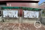 黑龙江鹤岗“白菜房价”再调查：房价小幅上涨，2万一套的房子消失