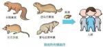 警惕！国内又一地出现新疫情！3岁儿童！当地紧急启动…