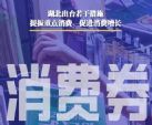 支持汽车消费 湖北省分批次发放消费券