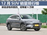 2023年12月SUV销量排行榜完整版 31款车破万辆