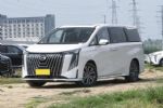 2024年1-5月MPV销量排行榜完整版 腾势D9夺冠