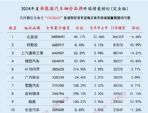 2024全年新能源汽车榜 新能源细分品牌终端销量排名