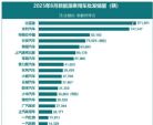 8月新能源厂商销量榜：自主强势领跑，新势力洗牌