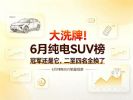 6月纯电SUV销量榜：冠军还是它，二至四名全换血
