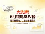 6月纯电SUV销量榜：冠军还是它，二至四名全换血